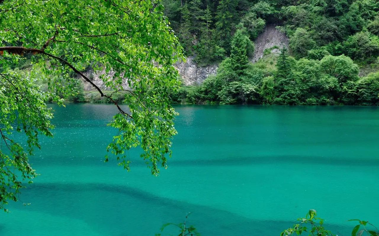 智能高精度高性能